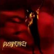 Pushmonkey