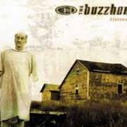 The Buzzhorn