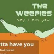 The Weepies