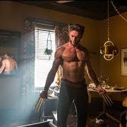 Wolverine