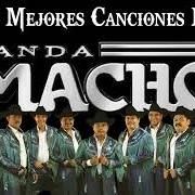 Banda Machos