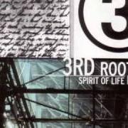 3Rd Root