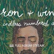 Iron Wine