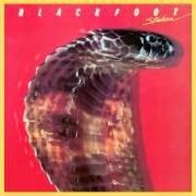 Blackfoot