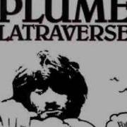 Plume Latraverse