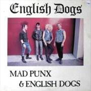 English Dogs