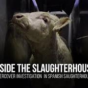 Slaughterhouse