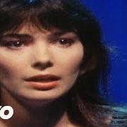 Beverley Craven