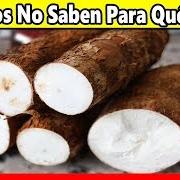 Yuca