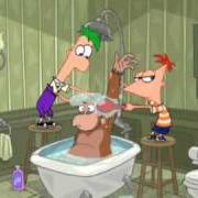 Phinéas Et Ferb