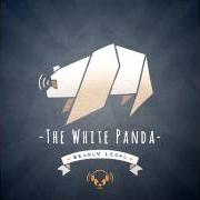 The White Panda