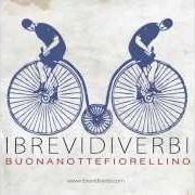 I Brevi Diverbi