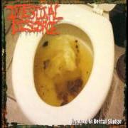 Intestinal Disgorge