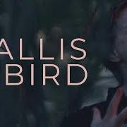 Wallis Bird