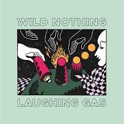 Wild Nothing