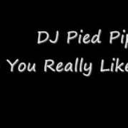 Dj Pied Piper