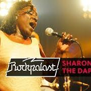 Sharon Jones & The Dap-Kings