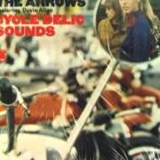 Davie Allan & The Arrows
