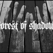 Forest Of Shadows