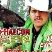 Halcon De La Sierra