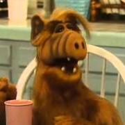 Alf